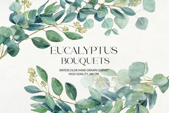 Download Watercolor Eucalyptus Bouquets Clipart - Bouquets Collection