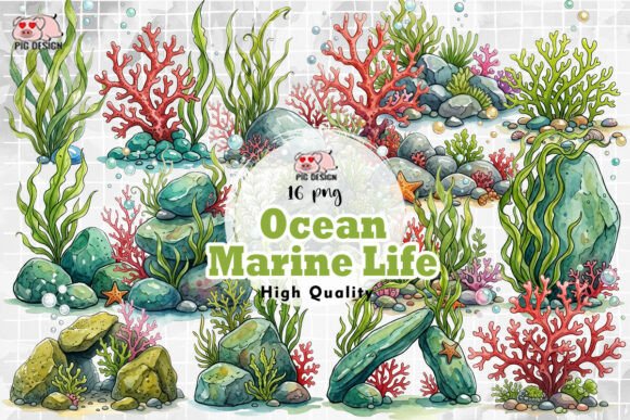Download Ocean Marine Life PNG - Png Collection