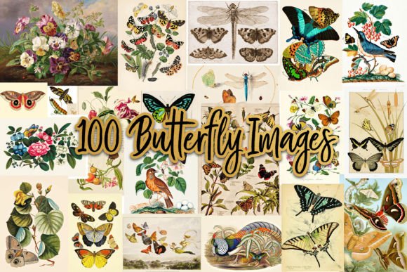 Download 100 Vintage Victorian Butterfly Ephemera - Premium Resources